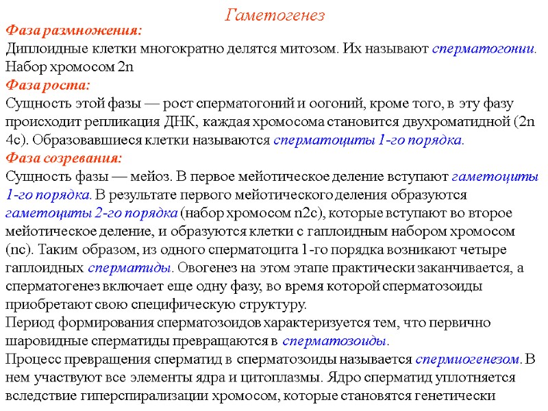 Гаметогенез Фаза размножения: Диплоидные клетки многократно делятся митозом. Их называют сперматогонии. Набор хромосом Гаметогенез Фаза размножения: Диплоидные клетки многократно делятся митозом. Их называют сперматогонии. Набор хромосом